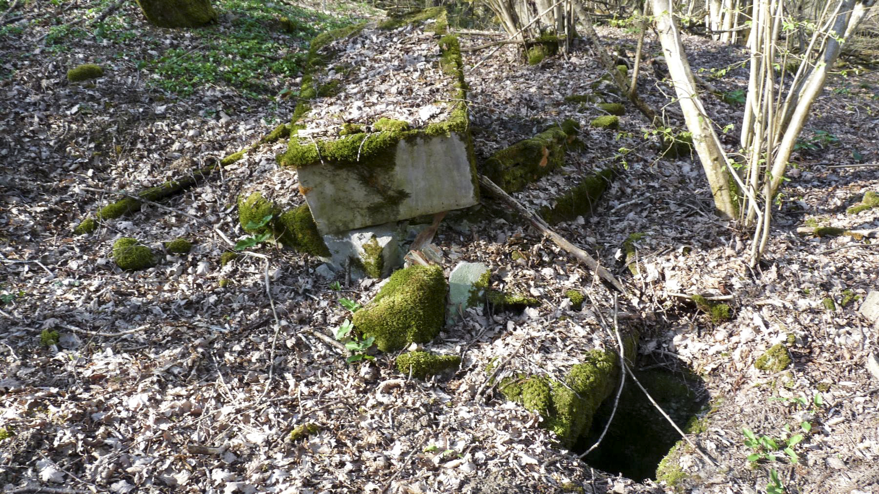 Ligne Maginot - BOIS KARRE - (Casernement) - 