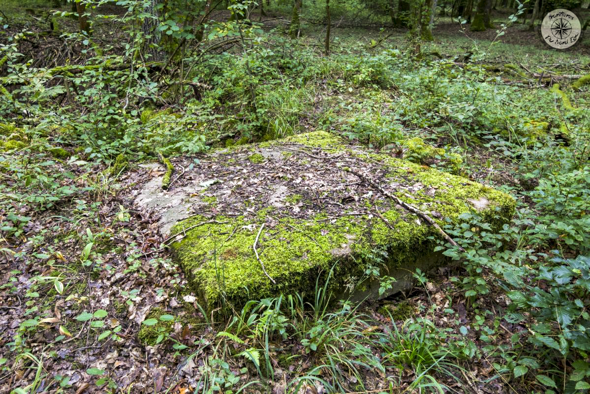 Ligne Maginot - BOIS KARRE 8 - (Observatoire d'infanterie) -   - Thierry Caland