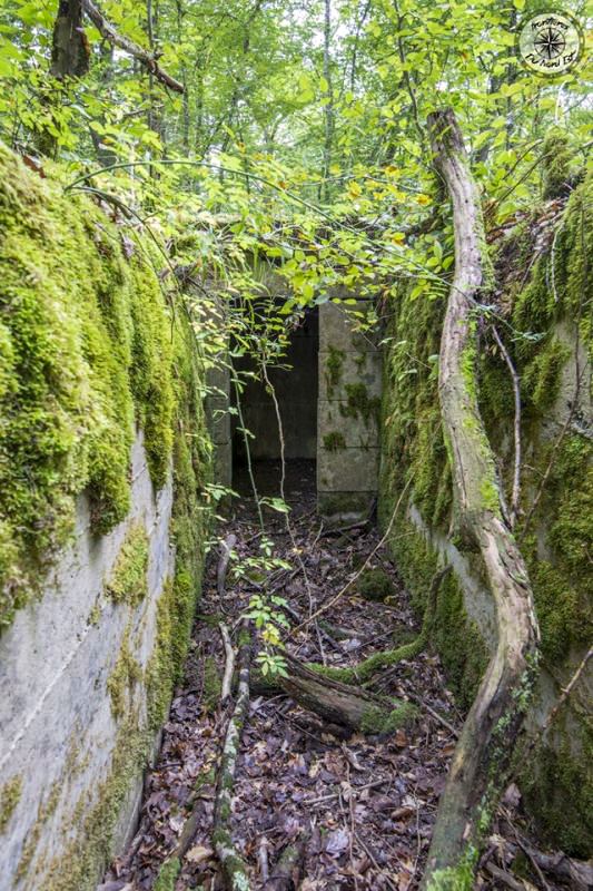 Ligne Maginot - BOIS KARRE 8 - (Observatoire d'infanterie) -    - Thierry Caland