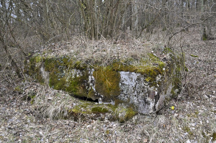 Ligne Maginot - CB73-C - KUHDRECK 1 - (Blockhaus pour arme infanterie) - La face avant donnant sur la route - Pruzsina Jérome