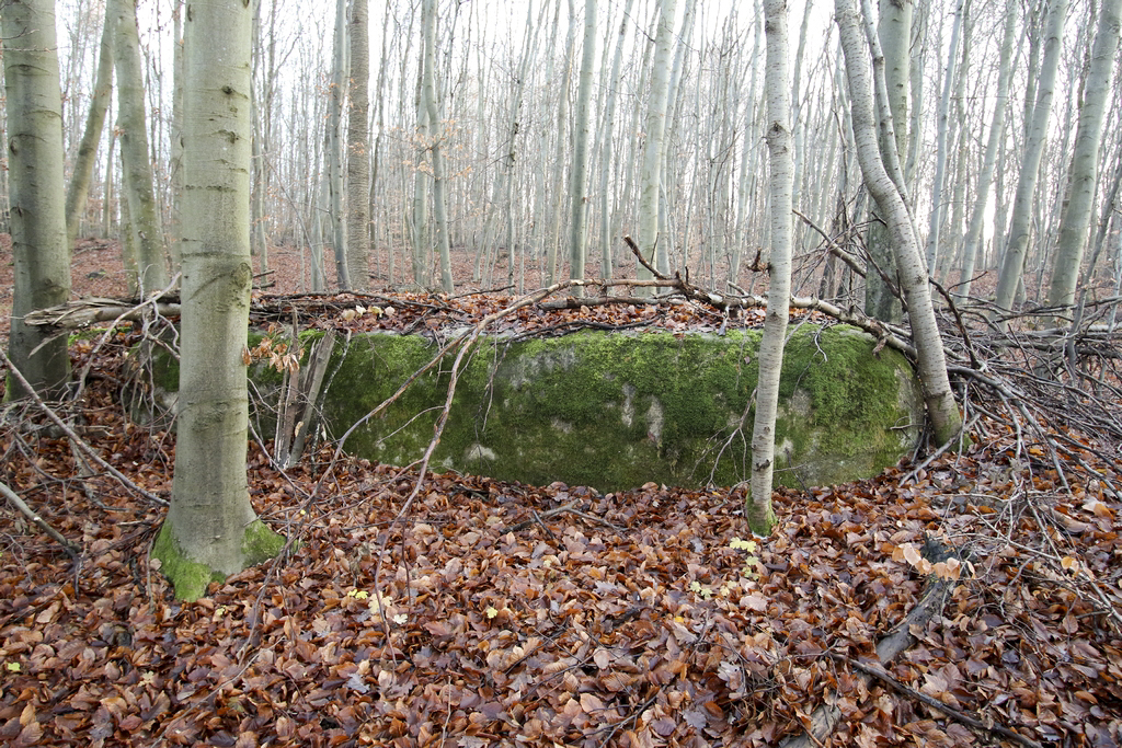 Ligne Maginot - H52 - (Chambre de coupure) - 