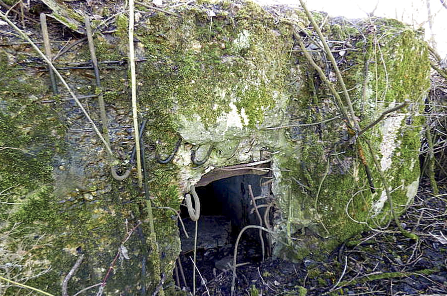 Ligne Maginot - CB213 - BATZEN - (Blockhaus pour arme infanterie) -  - Sylvie Laure LAMBERT