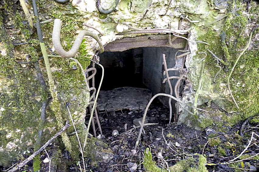 Ligne Maginot - CB213 - BATZEN - (Blockhaus pour arme infanterie) -  - Sylvie Laure LAMBERT