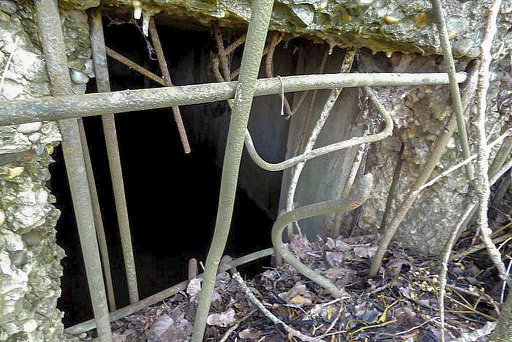 Ligne Maginot - CB213 - BATZEN - (Blockhaus pour arme infanterie) -  - Sylvie Laure LAMBERT