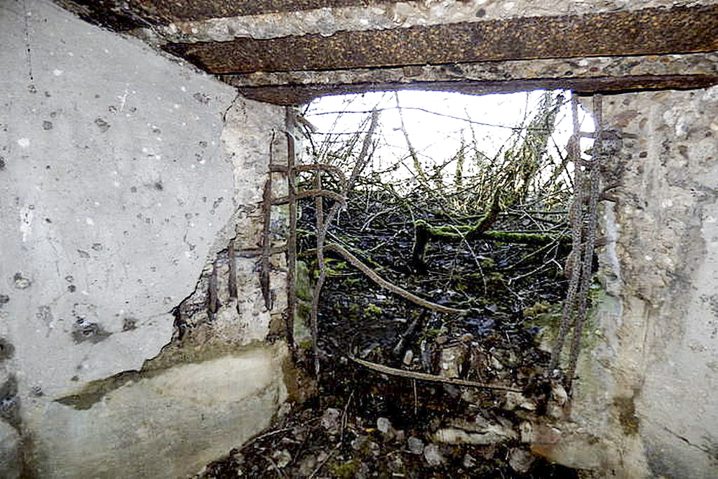 Ligne Maginot - CB213 - BATZEN - (Blockhaus pour arme infanterie) -  - Sylvie Laure LAMBERT