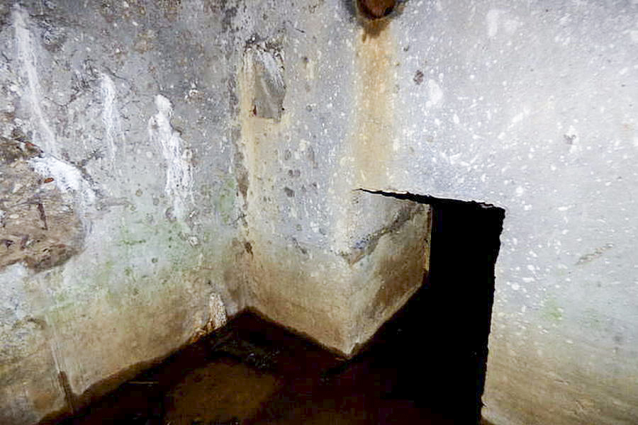 Ligne Maginot - CB213 - BATZEN - (Blockhaus pour arme infanterie) -  - Sylvie Laure LAMBERT