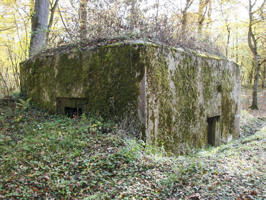 Ligne Maginot - CB234 - RIPPERT 2 - (Blockhaus pour arme infanterie) - 
