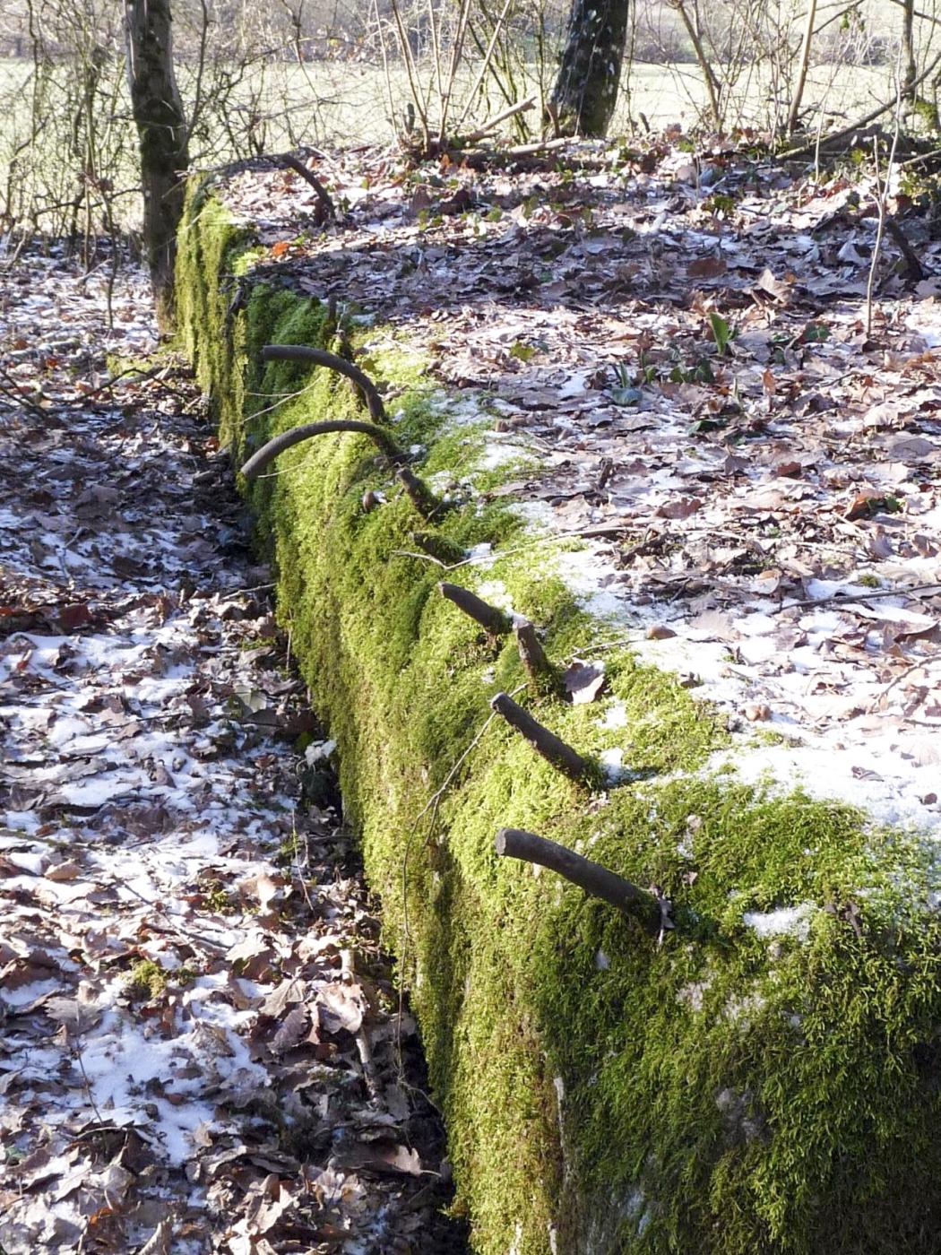 Ligne Maginot - CB256 - BOIS DE ZEITERHOLZ SUD - (Blockhaus pour canon) - 