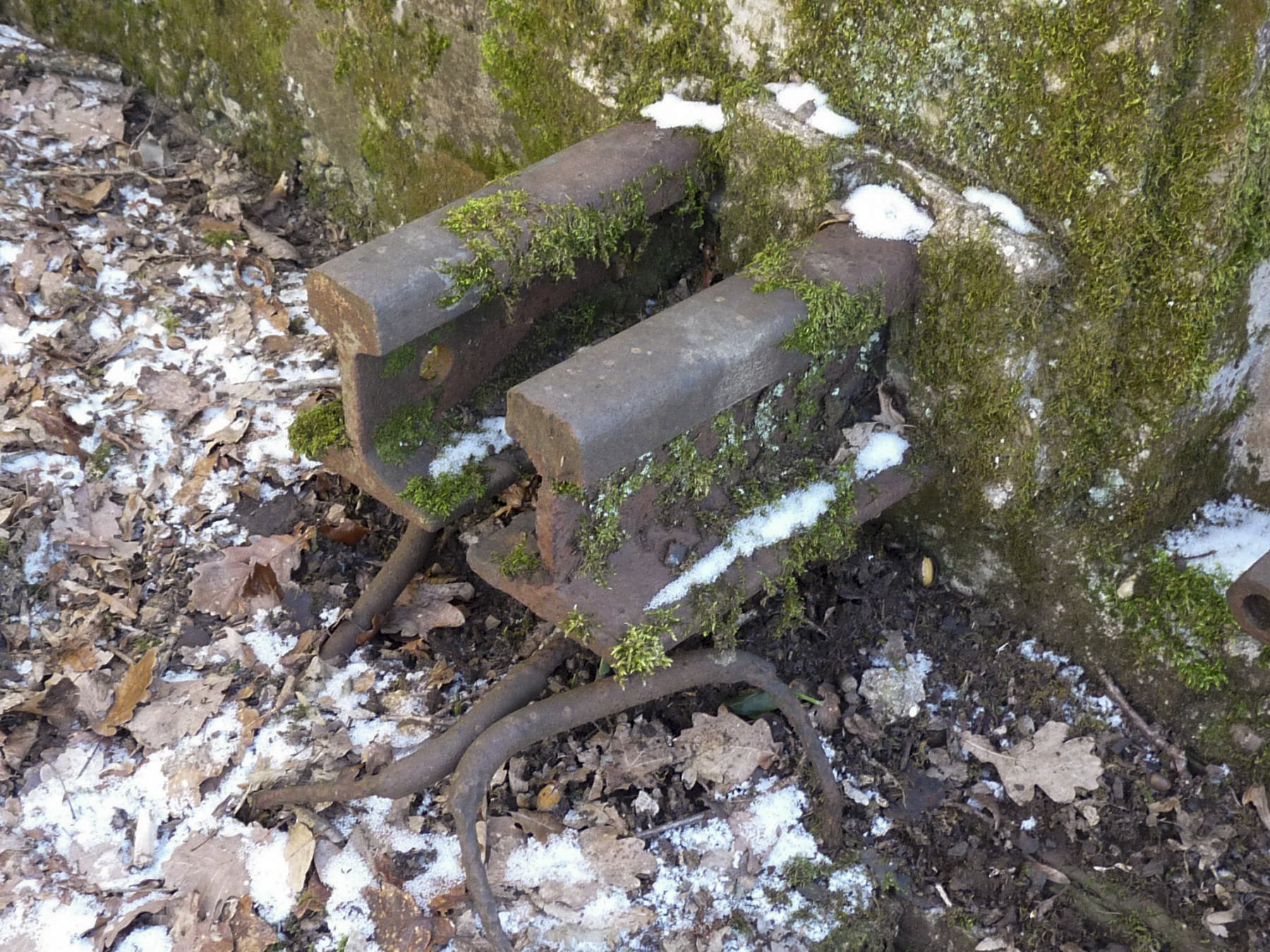 Ligne Maginot - CB256 - BOIS DE ZEITERHOLZ SUD - (Blockhaus pour canon) -  - Sylvie Laure LAMBERT