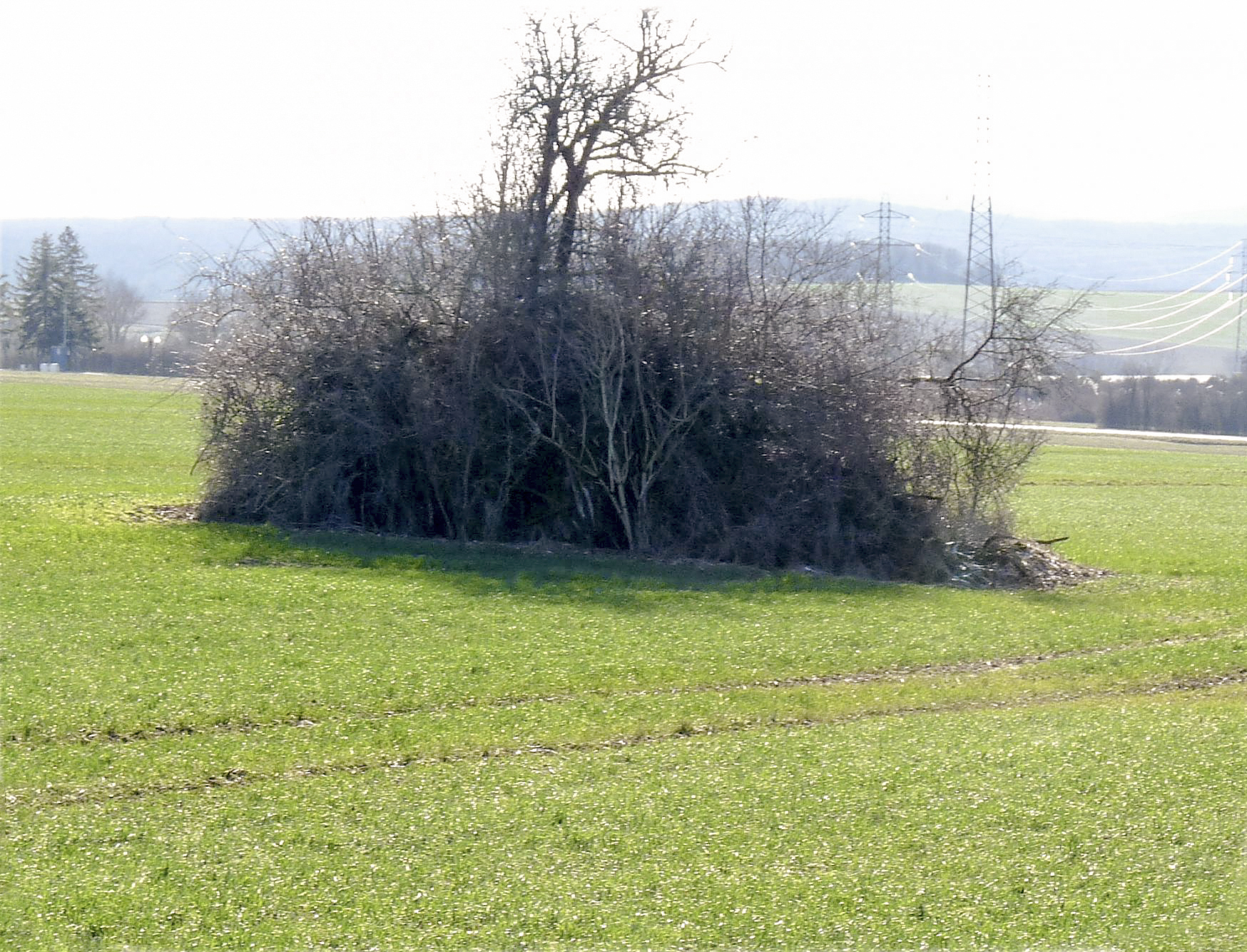 Ligne Maginot - CB261 - OBERRULEN 1 - (Blockhaus pour arme infanterie) -  - Sylvie Laure LAMBERT