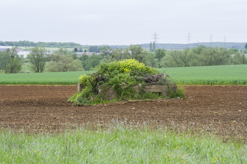 Ligne Maginot - CB268 - STOLBUCH - (Blockhaus pour arme infanterie) -  - Michel Teiten