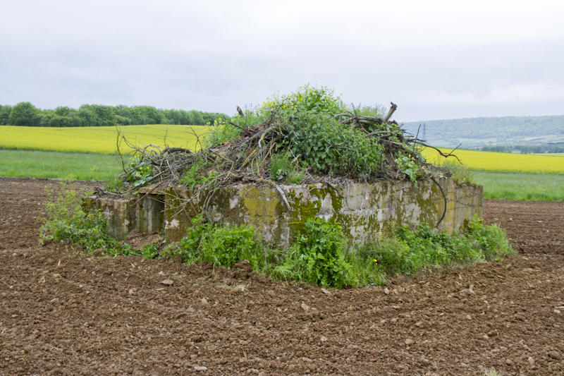 Ligne Maginot - CB268 - STOLBUCH - (Blockhaus pour arme infanterie) - Vue générale du bloc.
 - Michel Teiten