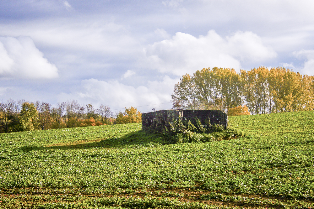 Ligne Maginot - CB270 - KLEINE WECKINGEN - (Blockhaus pour canon) - Vue générale du bloc - Michel Teiten