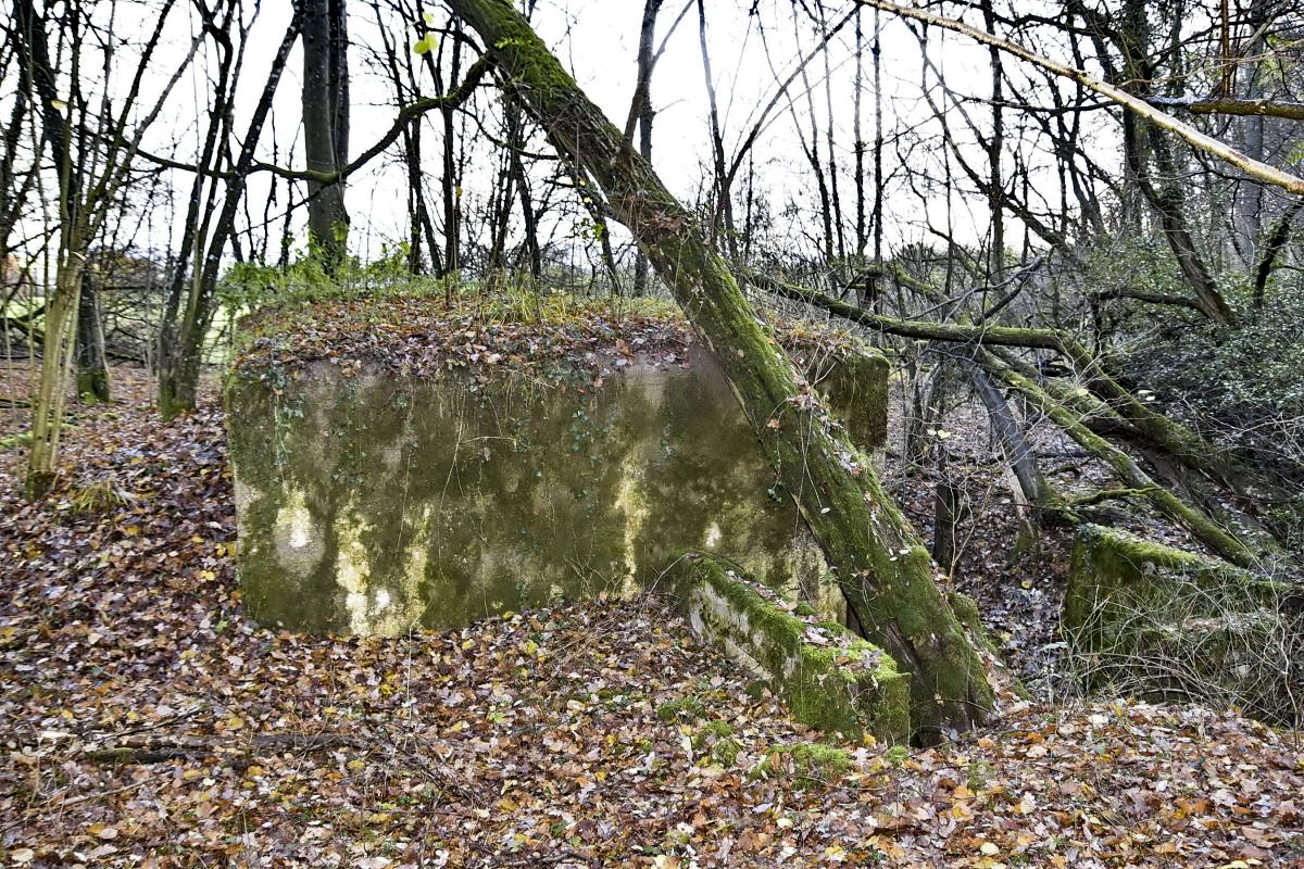 Ligne Maginot - CB280 - RETTELBOURG 2 - (Blockhaus pour arme infanterie) - Façade arrière