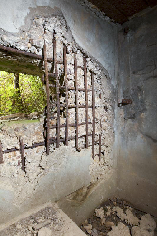 Ligne Maginot - CB301 - KANFENER BUSCH 7 - (Blockhaus pour canon) - 