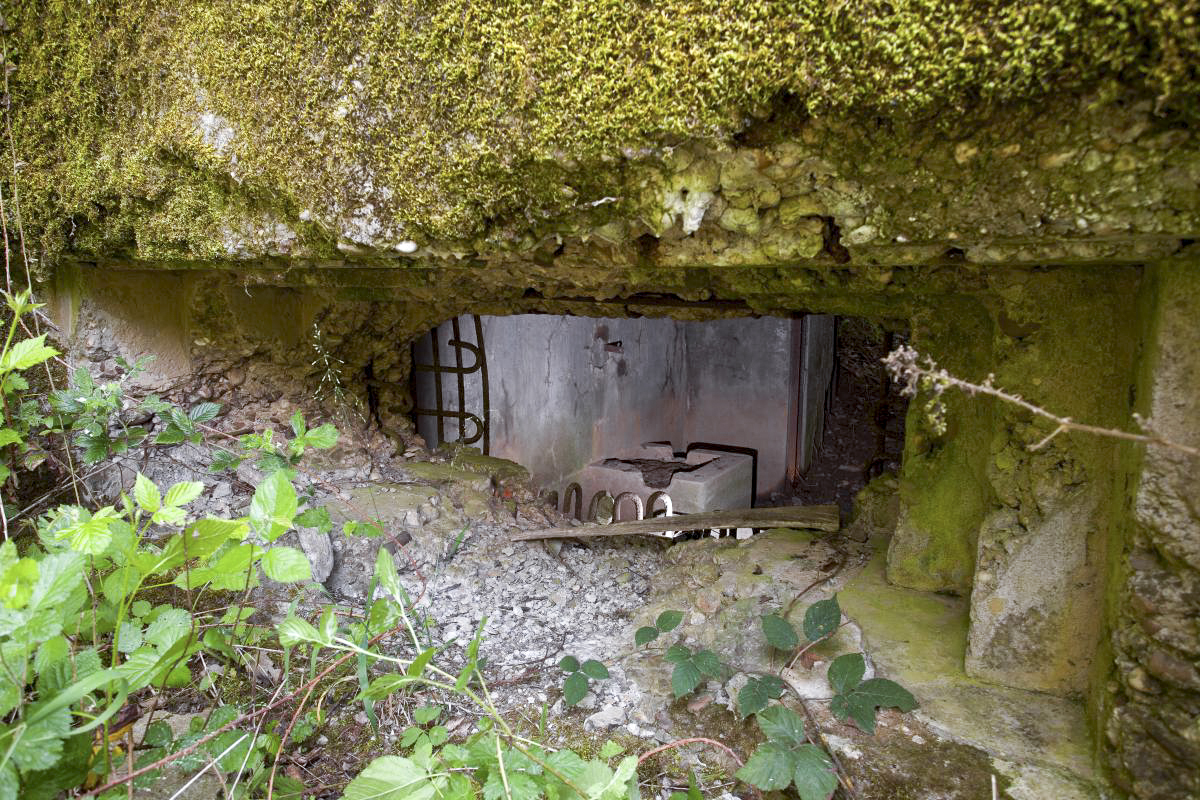 Ligne Maginot - CB301 - KANFENER BUSCH 7 - (Blockhaus pour canon) - 