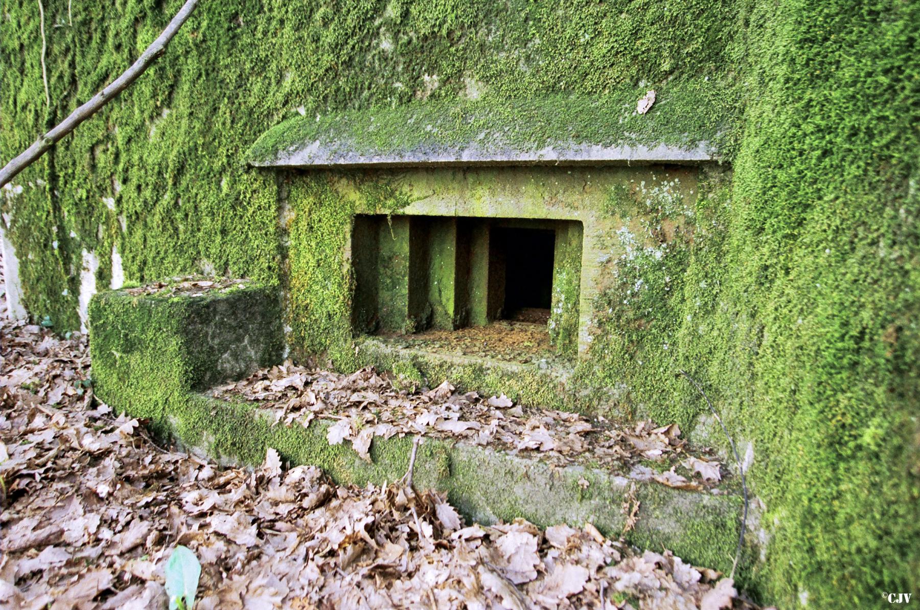 Ligne Maginot - CB298 - KUHDRECK 4 - (Blockhaus pour arme infanterie) -  - Lia VERMEULEN