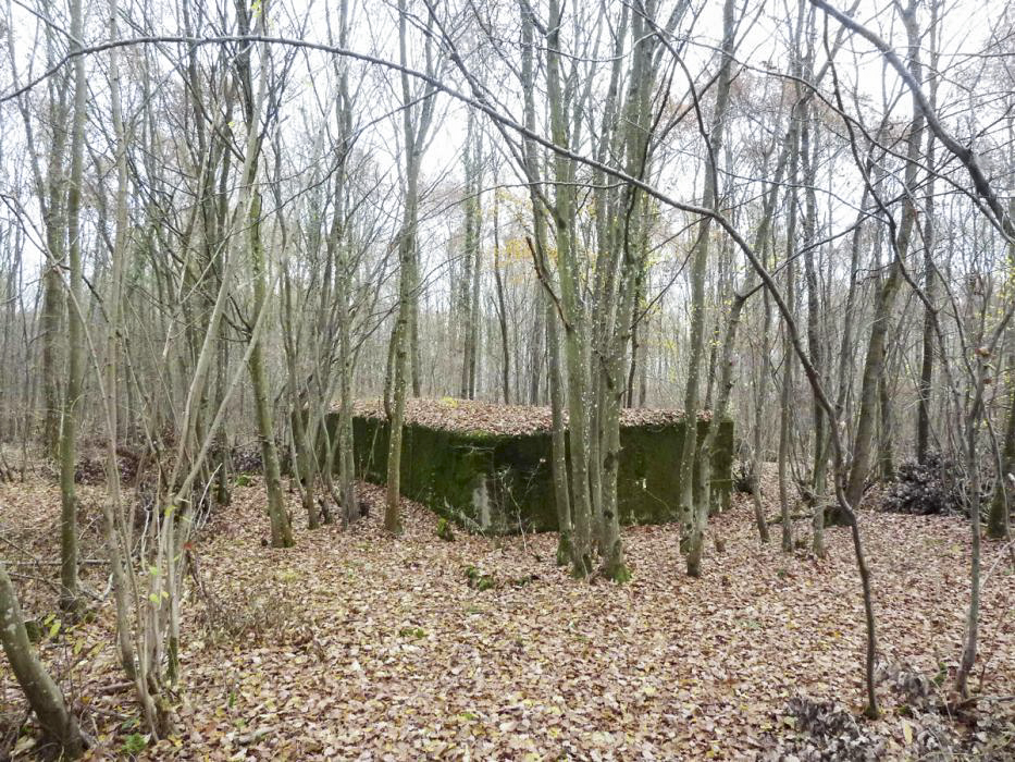 Ligne Maginot - CB444 - RIPPERT - (Poste de Secours) - Le PC vu de la route militaire