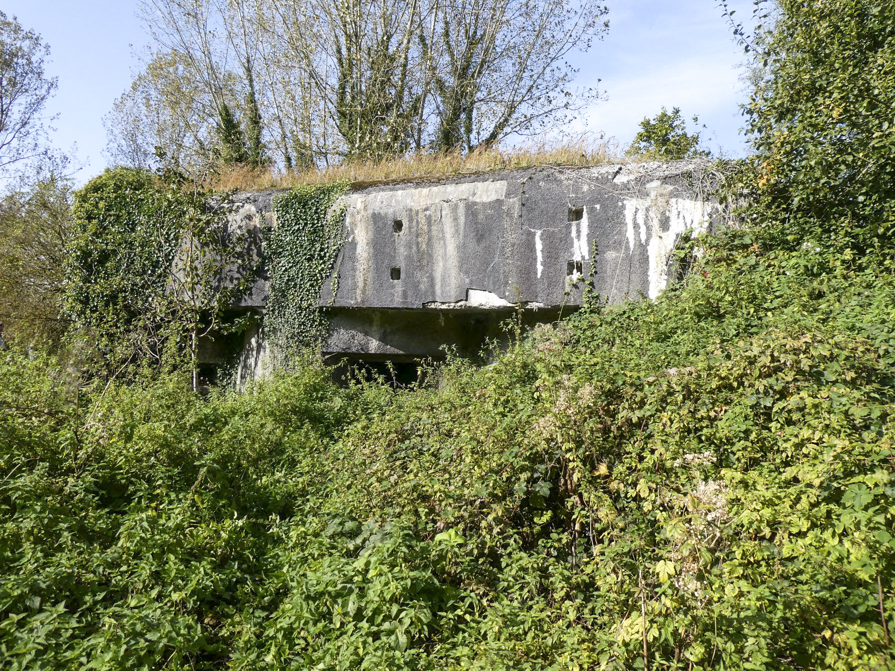 Ligne Maginot - RODIGNIES EST - (Casemate d'infanterie - Double) - Flanquement à droite - ELLENA Daniel - CUNY Philippe