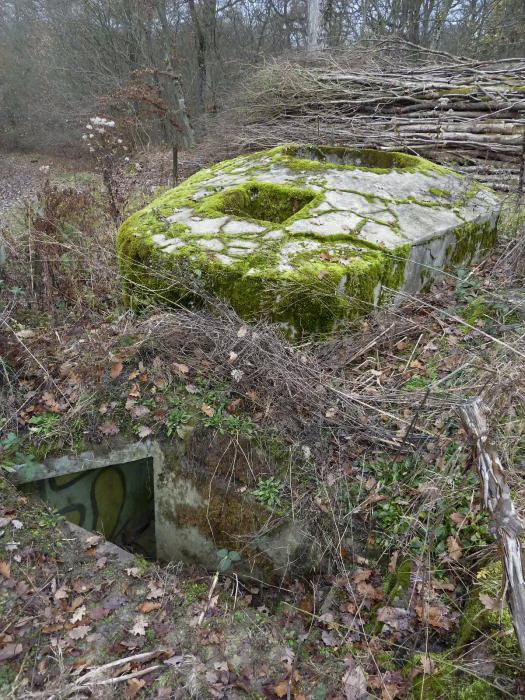 Ligne Maginot - CT57 - (Cuve pour arme d'infanterie) - Au premier plan l'escalier d'accés à l'encuvement.
Un second accés par un puit doté d'une échelle est visible sur le massif bétonné.
