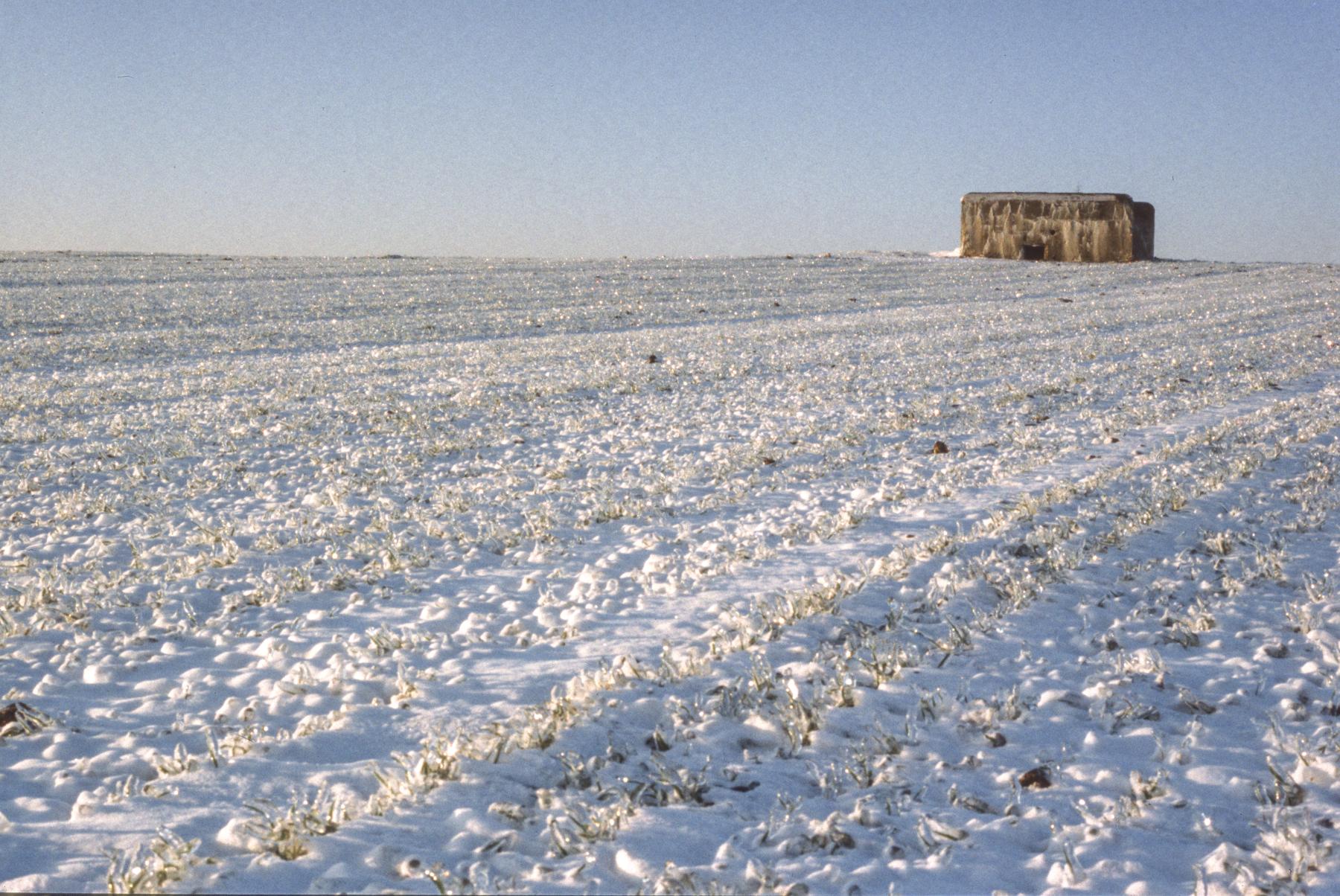 Ligne Maginot - ANSERTEN 2 - (Blockhaus pour arme infanterie) -  - MANSUY Michel