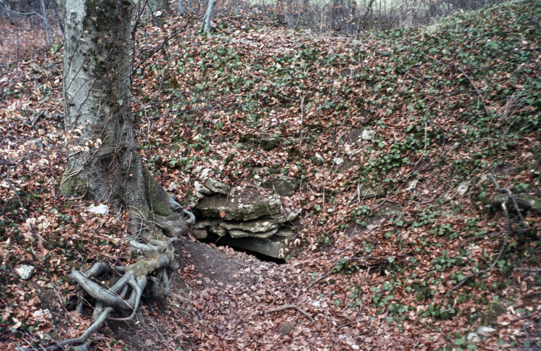 Ligne Maginot - AT13 - (Cuve pour arme d'infanterie) - L'entrée - MANSUY Michel