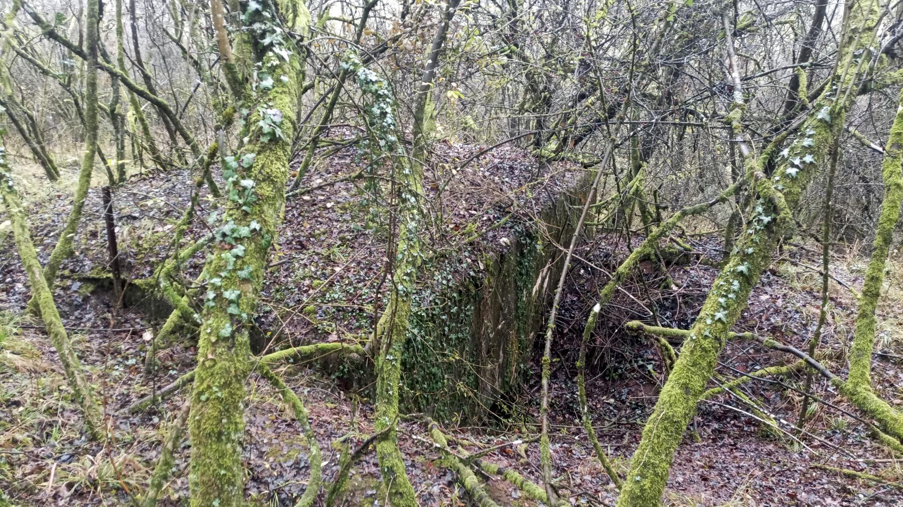 Ligne Maginot - BB305 - (Blockhaus pour arme infanterie) -  - Marc Fossoul