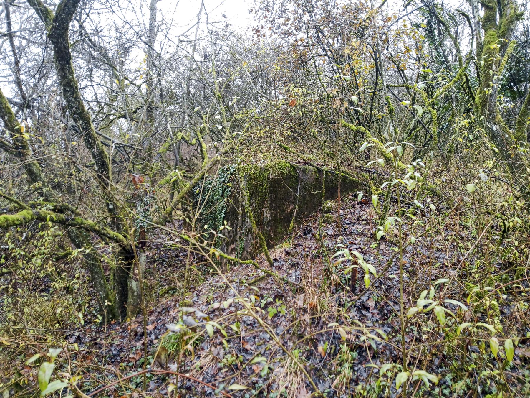 Ligne Maginot - BB305 - (Blockhaus pour arme infanterie) -  - Marc Fossoul
