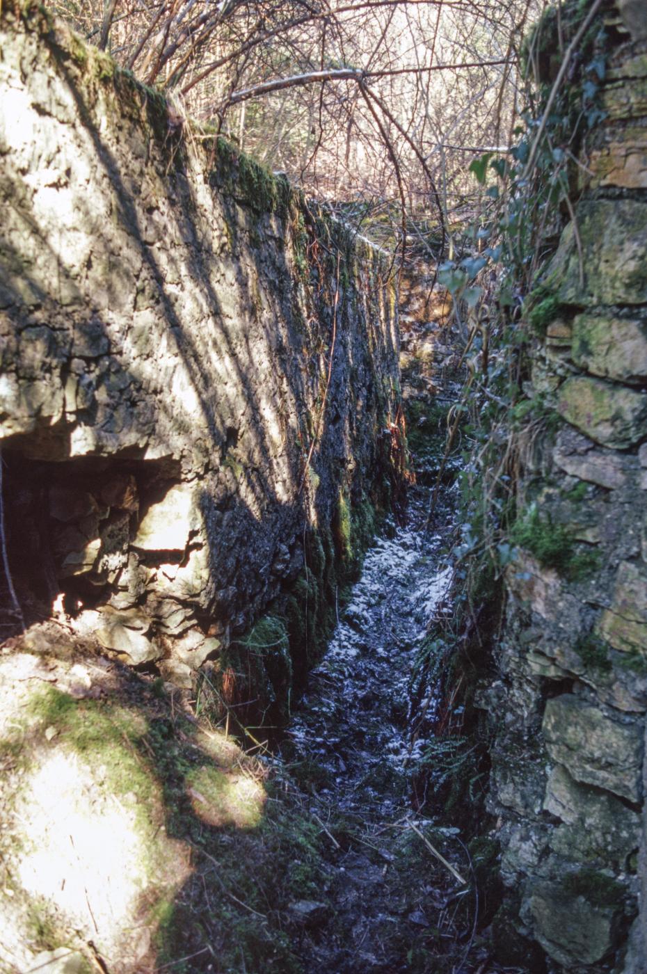 Ligne Maginot - BAN SAINT JEAN (II/160°RIF) - (PC de Quartier) -  - MANSUY Michel