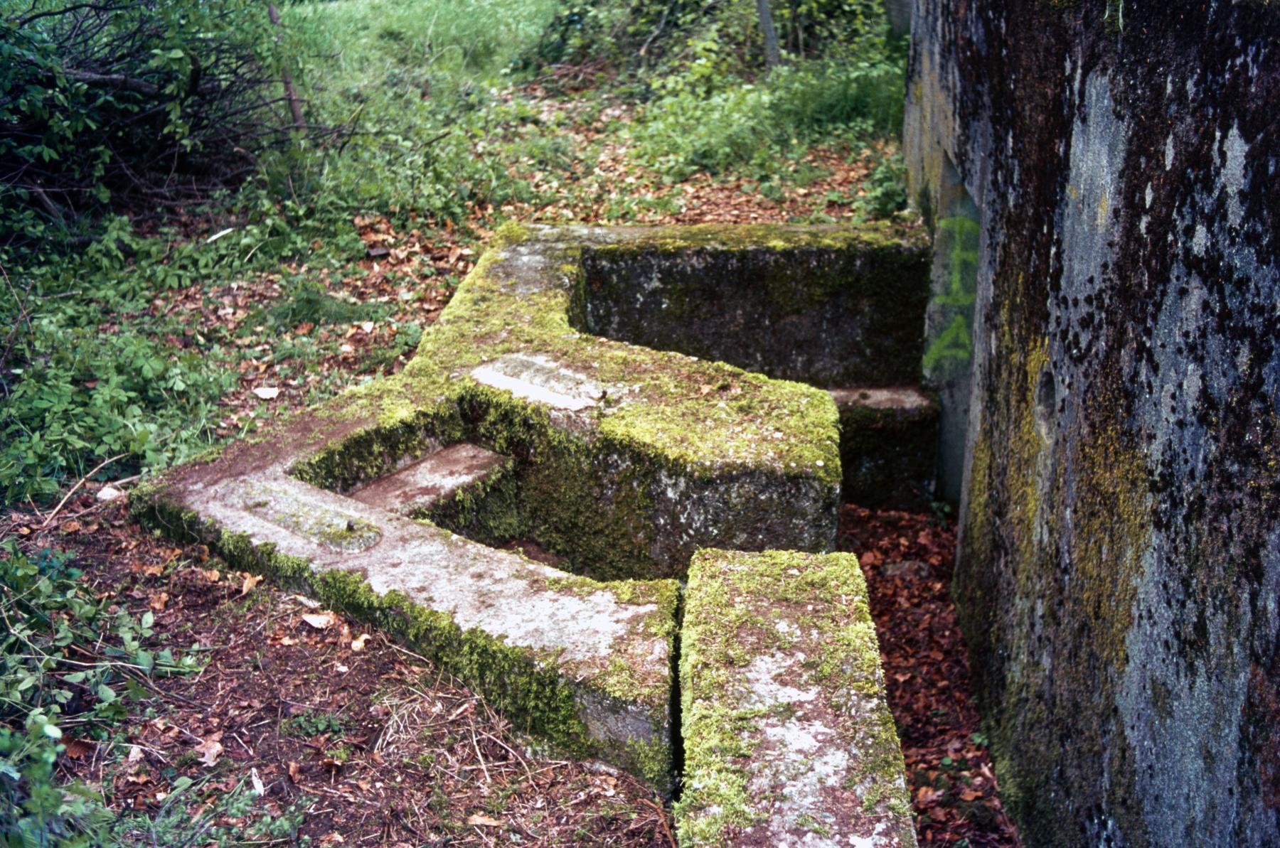 Ligne Maginot - M101B - BOIS DE GUESSLING - (Blockhaus pour arme infanterie) -  - MANSUY Michel
