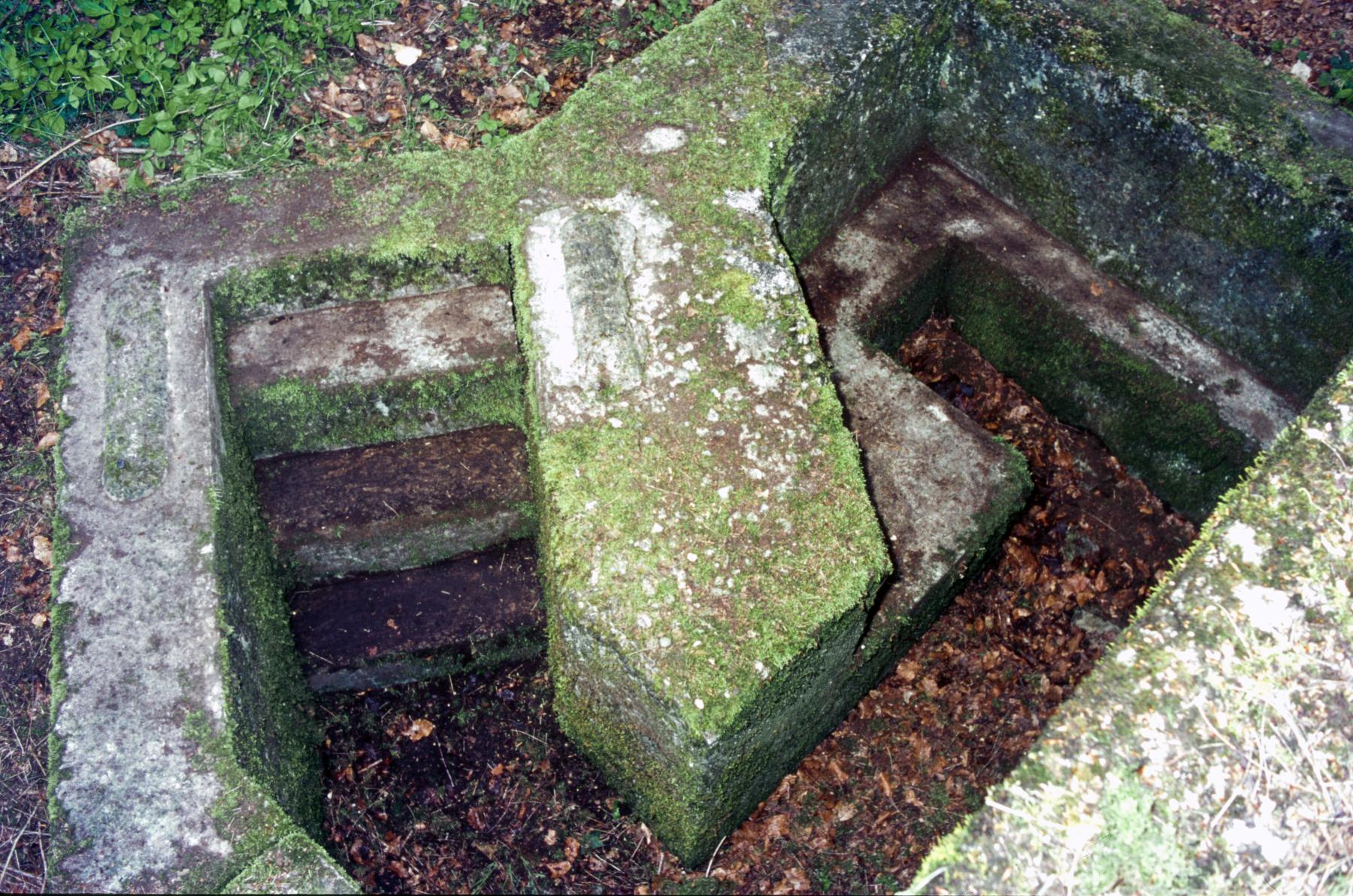 Ligne Maginot - M101B - BOIS DE GUESSLING - (Blockhaus pour arme infanterie) -  - MANSUY Michel