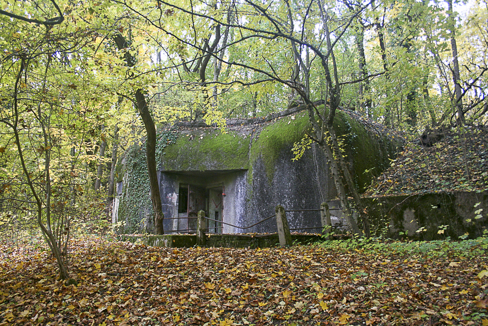Ligne Maginot - HELMREICH - X10 - (Abri) - Coffre d'entrée Ouest