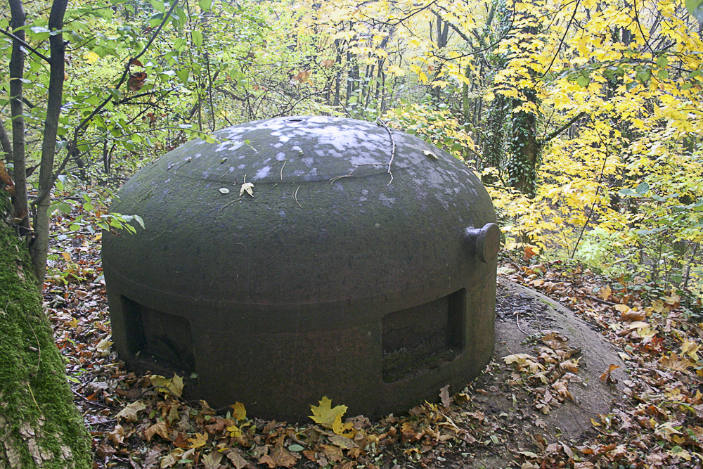 Ligne Maginot - HELMREICH - X10 - (Abri) - Cloche GFM