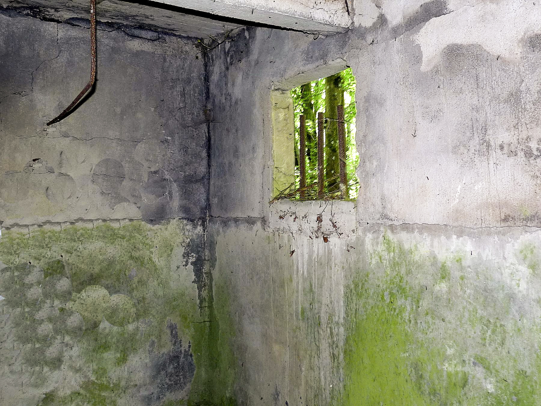 Ligne Maginot - KOBENBUSCH - (Casernement) -  - Sylvie-Laure LAMBERT