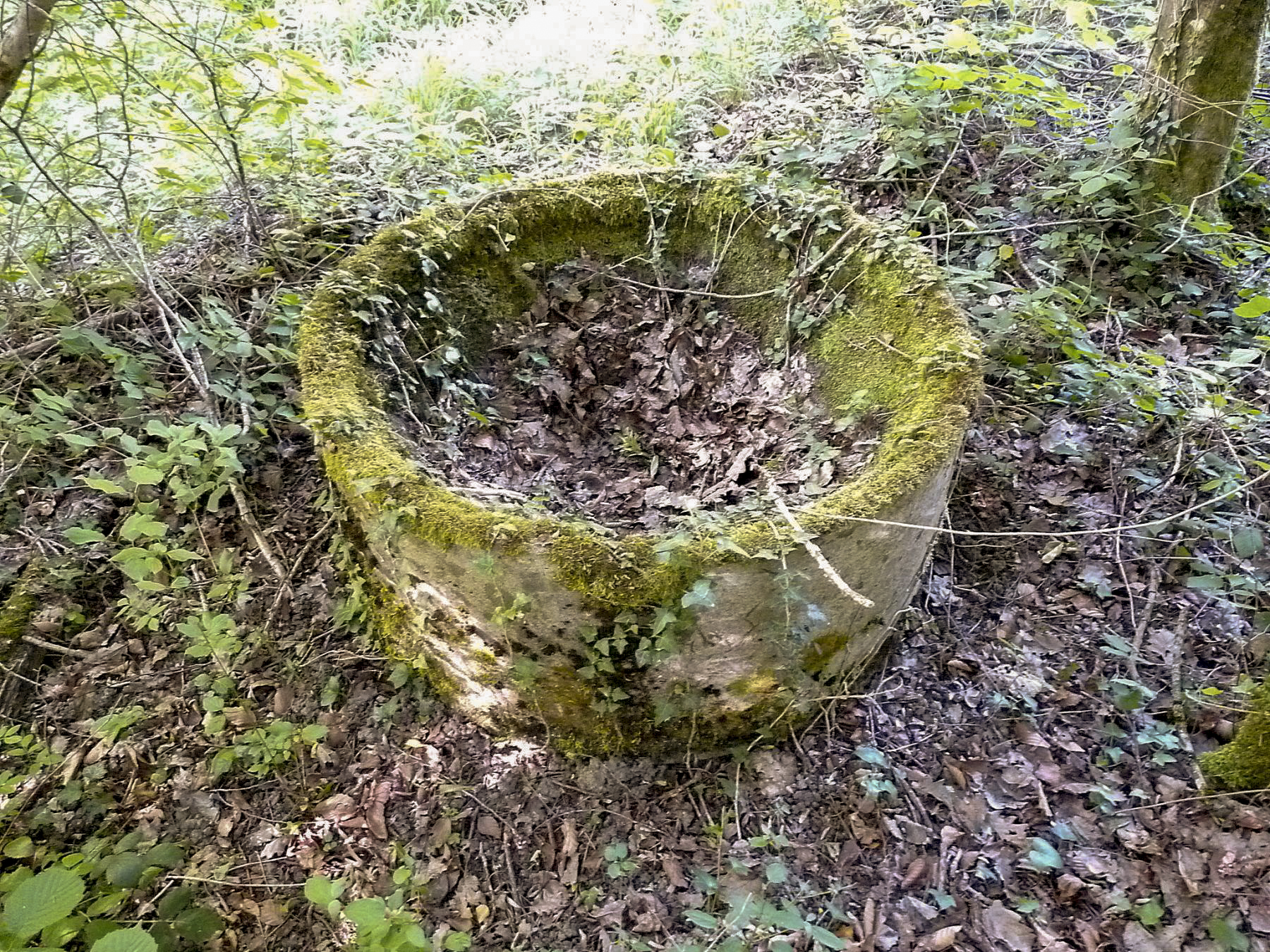 Ligne Maginot - KOBENBUSCH - (Casernement) - ....une question...?. je ne sais pas ce que c'est?..situé juste devant le 1er  bâtiment au bord de la route militaire - Sylvie-Laure LAMBERT