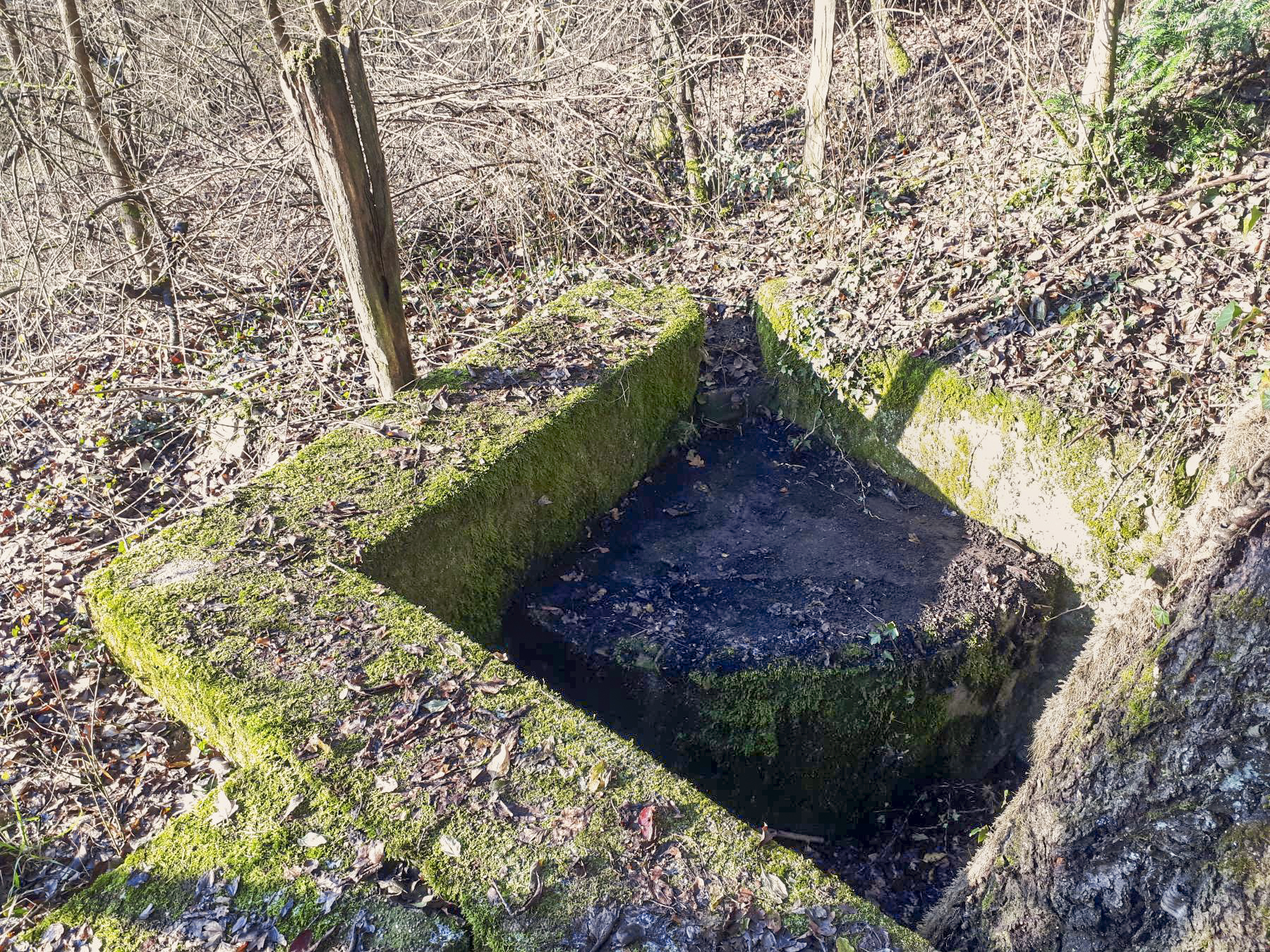 Ligne Maginot - LANGENSOULTZBACH OUEST 2 - (Cuve pour arme d'infanterie) -  - Gregory Fuchs