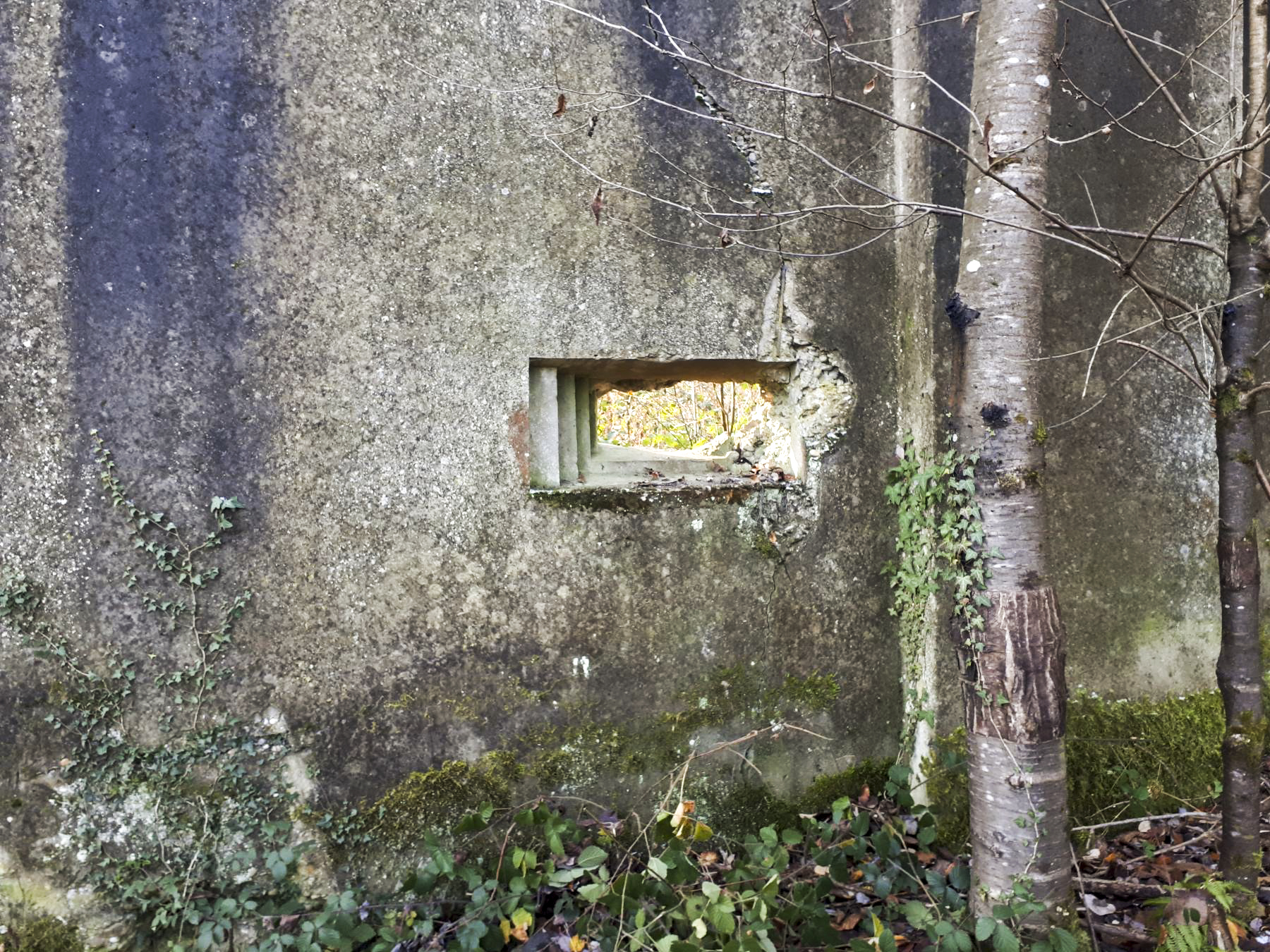 Ligne Maginot - LANGENSOULTZBACH - (Stand de tir) - Le créneau dans le mur d'aile droit - Gregory Fuchs