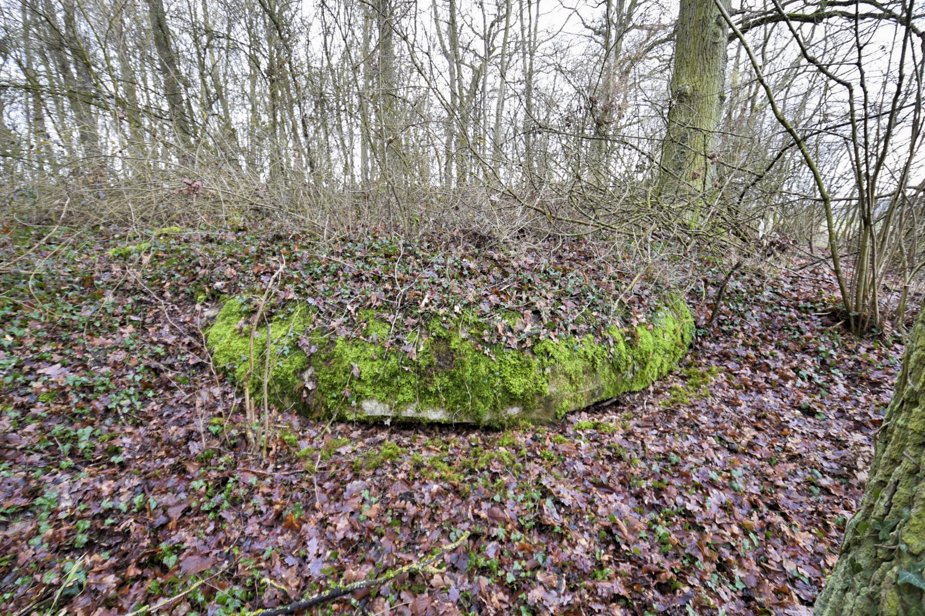 Ligne Maginot - SAINTE MARIE (168° RIF - 70° RAMF) - (PC de Sous-Secteur) - Annexe 1
Observatoire