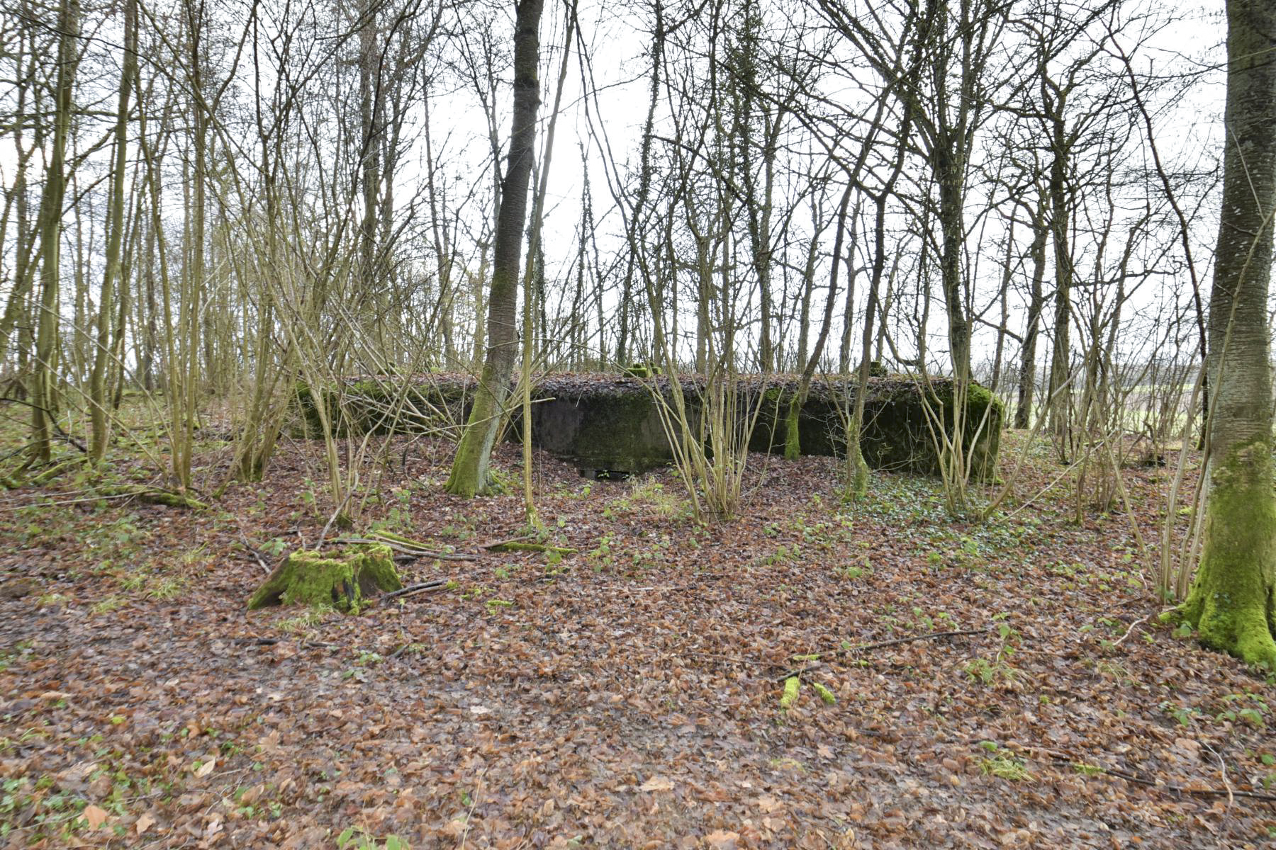 Ligne Maginot - SAINTE MARIE (168° RIF - 70° RAMF) - (PC de Sous-Secteur) - Annexe 1
Extension