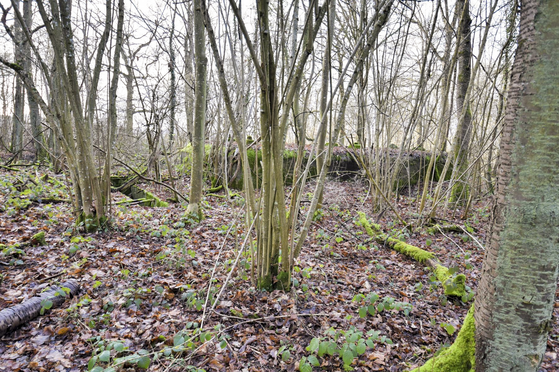 Ligne Maginot - SAINTE MARIE (168° RIF - 70° RAMF) - (PC de Sous-Secteur) - Annexe 1
Extension