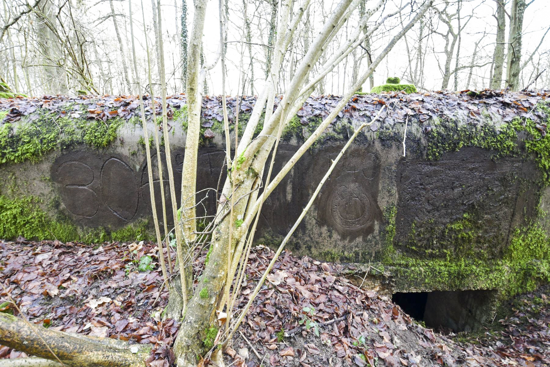 Ligne Maginot - SAINTE MARIE (168° RIF - 70° RAMF) - (PC de Sous-Secteur) - Annexe 1
Extension