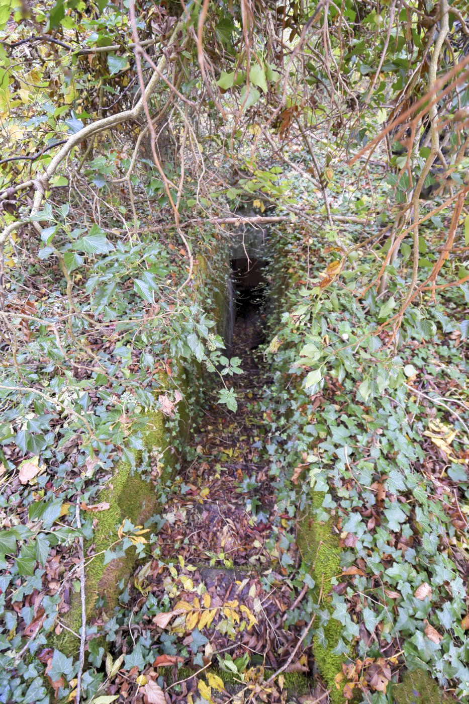 Ligne Maginot - SAINTE MARIE (168° RIF - 70° RAMF) - (PC de Sous-Secteur) - Un des deux escaliers de l'annexe 3