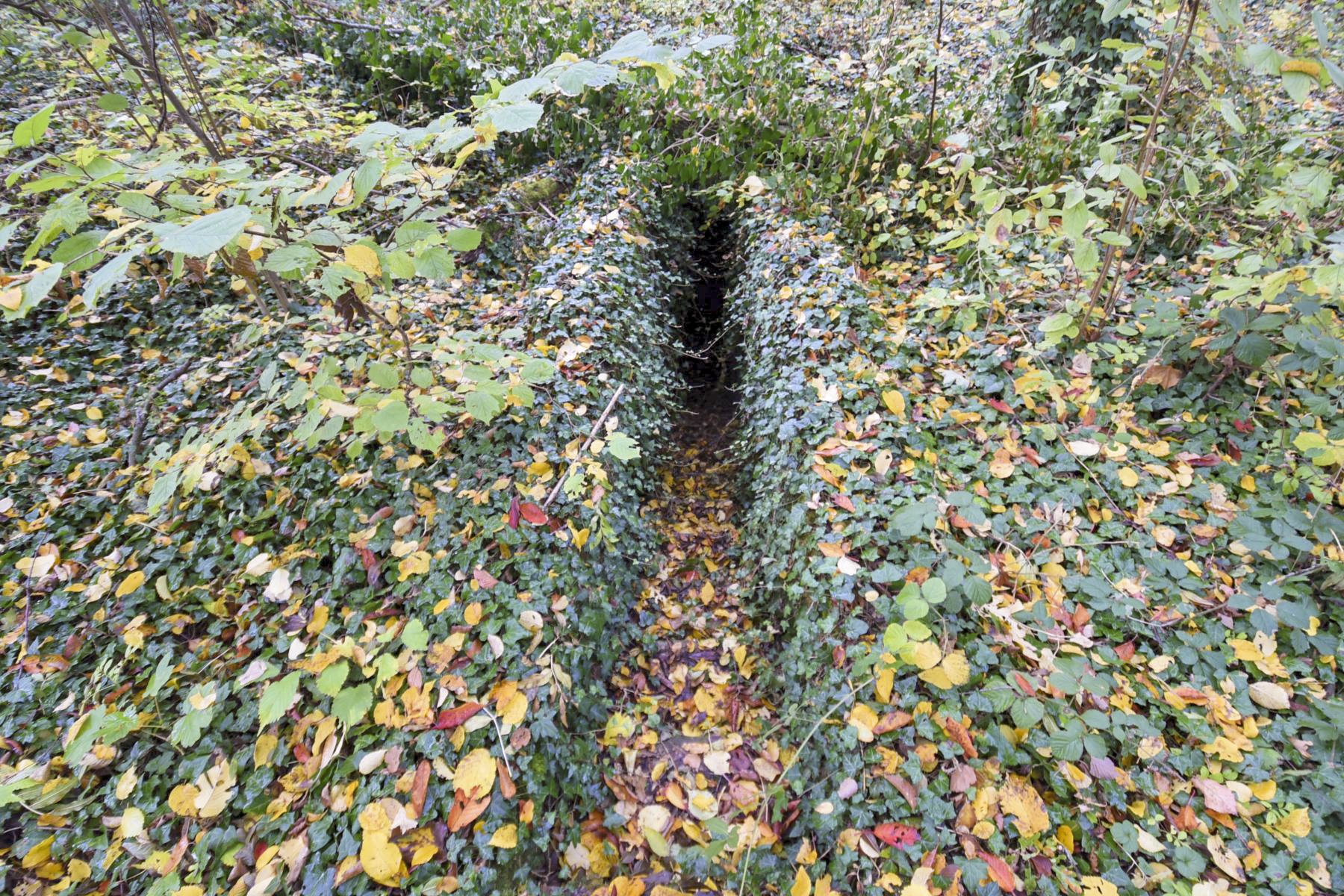 Ligne Maginot - SAINTE MARIE (168° RIF - 70° RAMF) - (PC de Sous-Secteur) - Le 2ème escalier de l'annexe 3