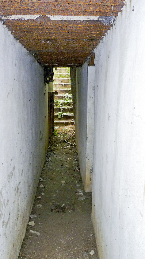 Ligne Maginot - SAINTE MARIE 1 - (Observatoire d'artillerie) - 