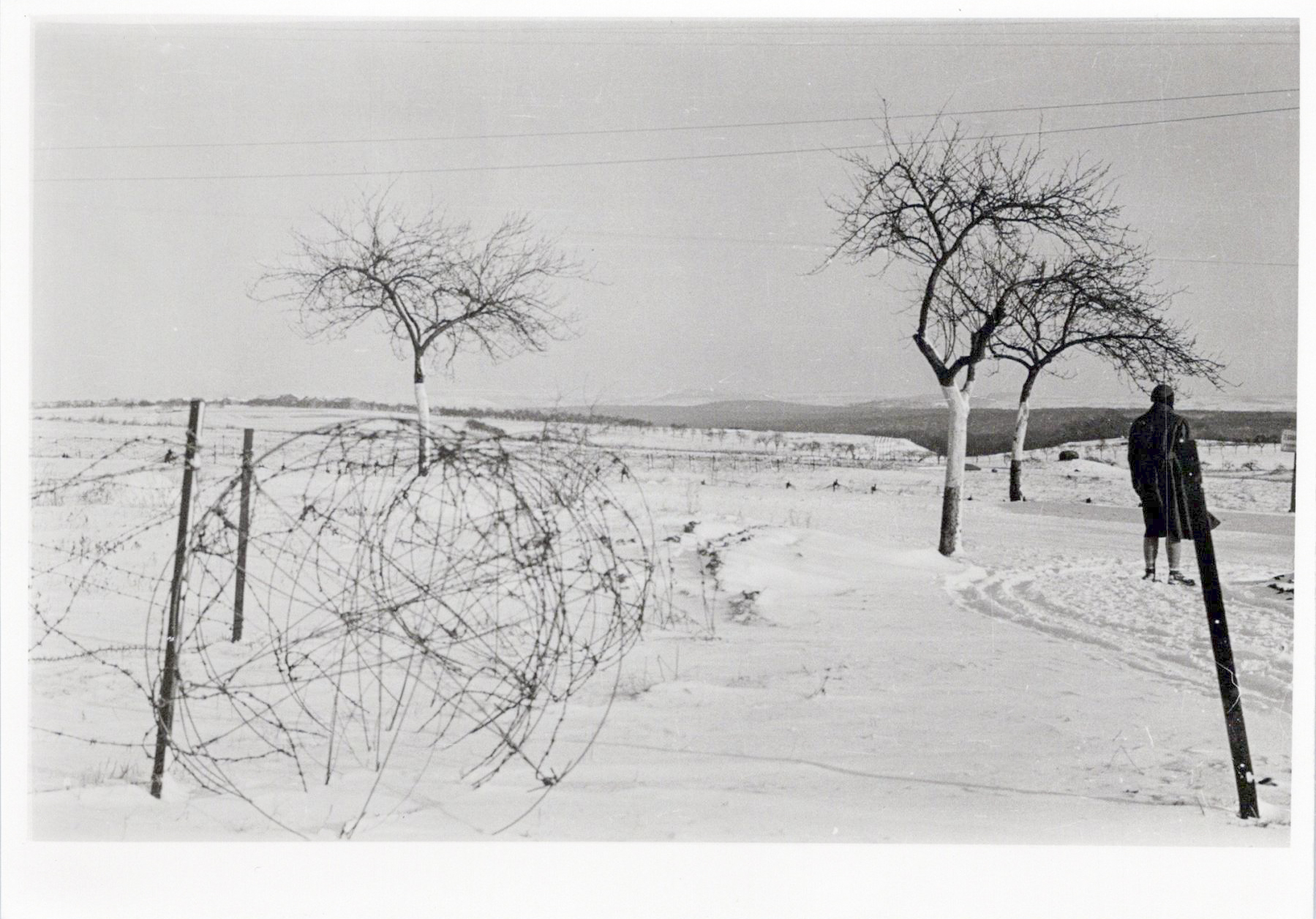 Ligne Maginot - SOETRICH - A11 - (Ouvrage d'artillerie) - Le bloc 5 vu depuis la route d'accès à l'observatoire du Luxembourg - Lionel IGNACE