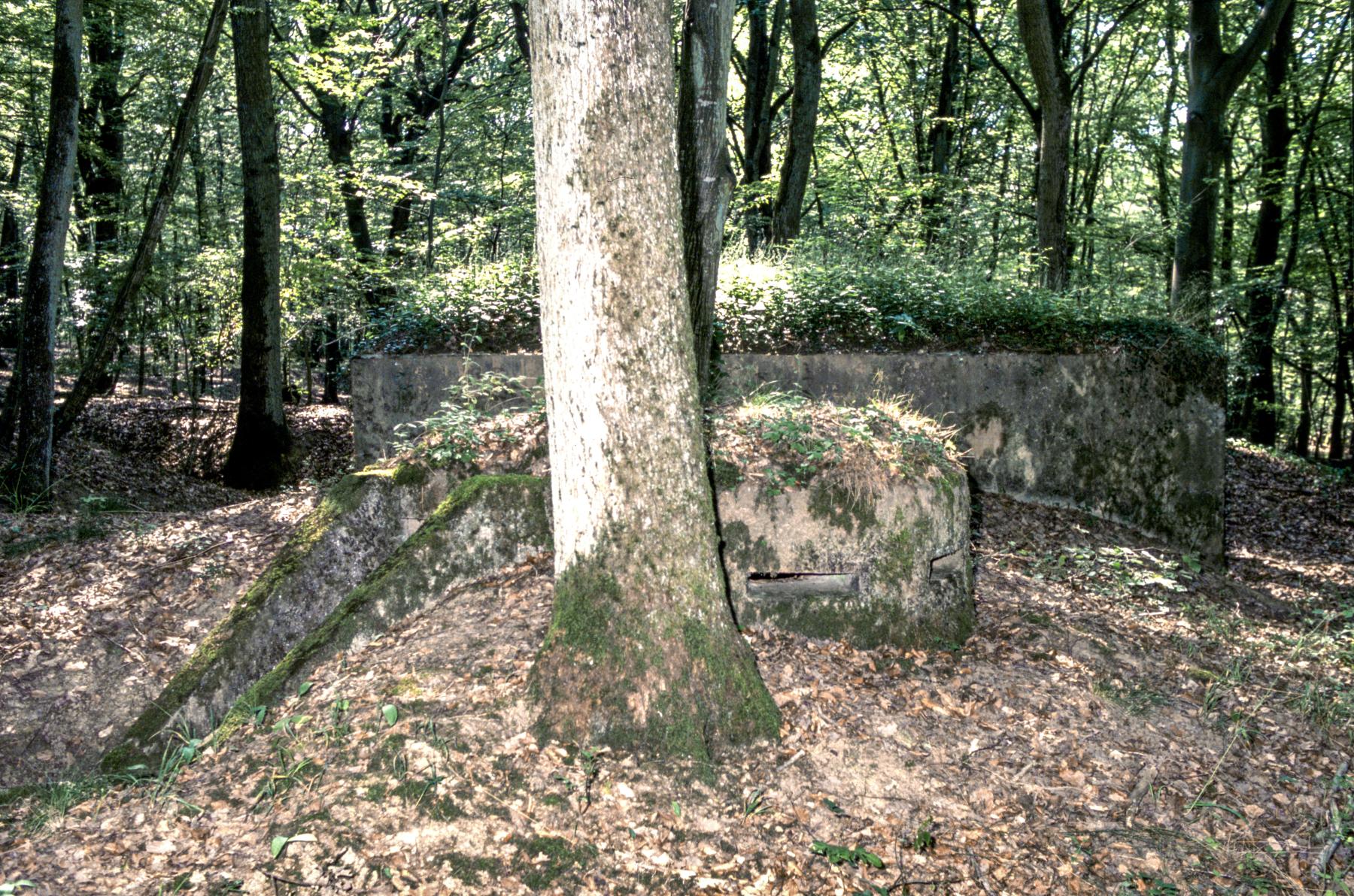 Ligne Maginot - CB203BIS - OBERHEIDE 06 - (Observatoire d'artillerie) -  - MANSUY Michel
