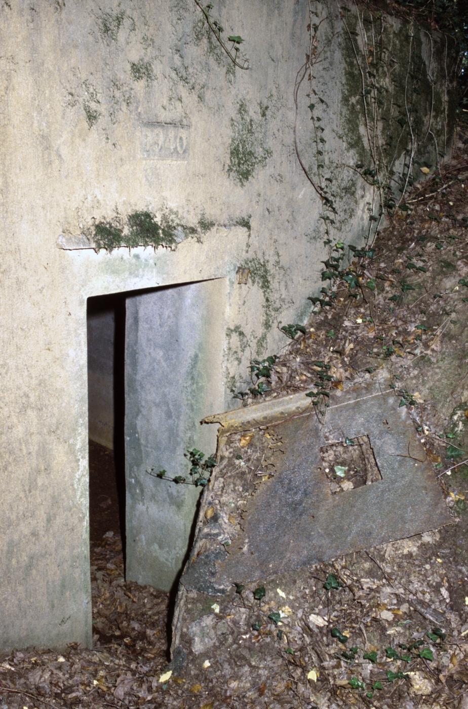 Ligne Maginot - CB119-C - OBERHEIDE 01 - (Blockhaus pour arme infanterie) - L'entrée - MANSUY Michel