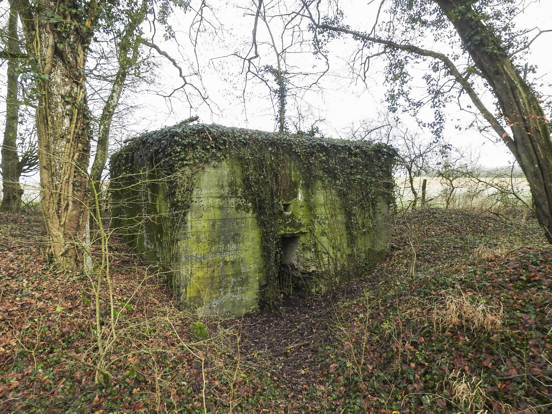 Ligne Maginot - BB21-D - GRESSES WALD - (Blockhaus pour arme infanterie) - L’entrée du blockhaus