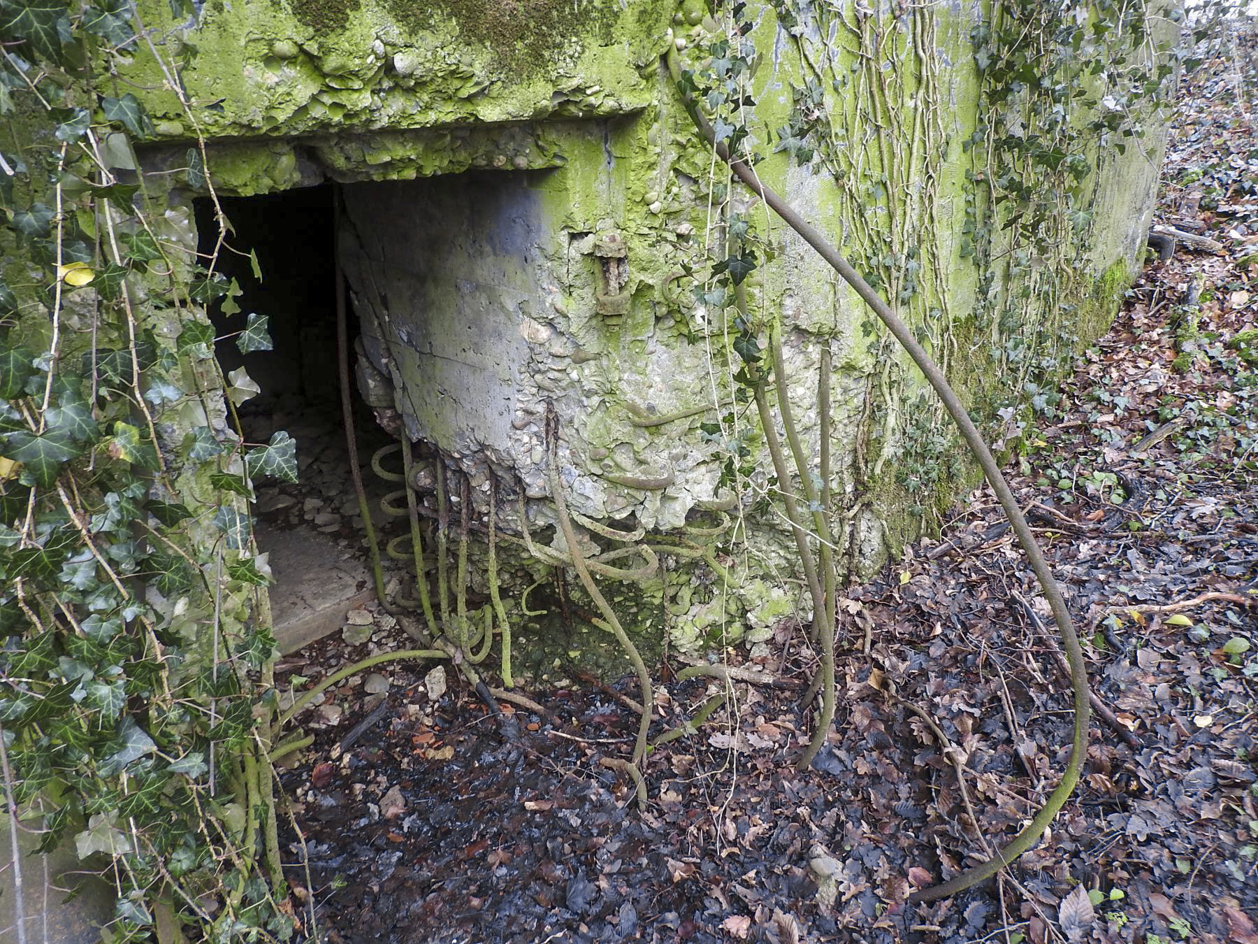 Ligne Maginot - BB21-D - GRESSES WALD - (Blockhaus pour arme infanterie) - L'entrée du blockhaus.