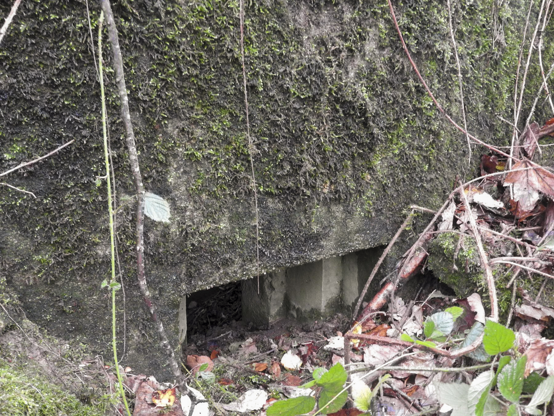 Ligne Maginot - LEGERET NORD 6 - (Blockhaus pour arme infanterie) - Le créneau pour FM. - STENGER Mathieu